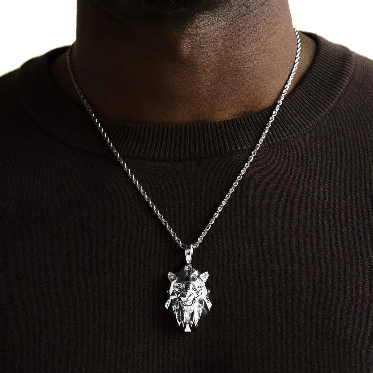 Lion Head Necklace Pendant and Rope Chain