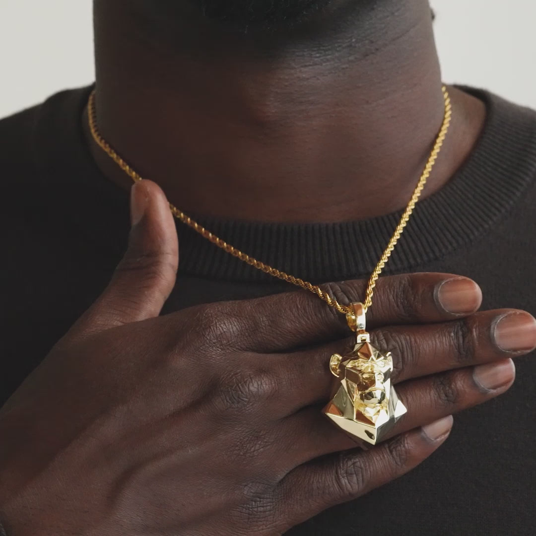Ape Head Necklace Pendant and Rope Chain