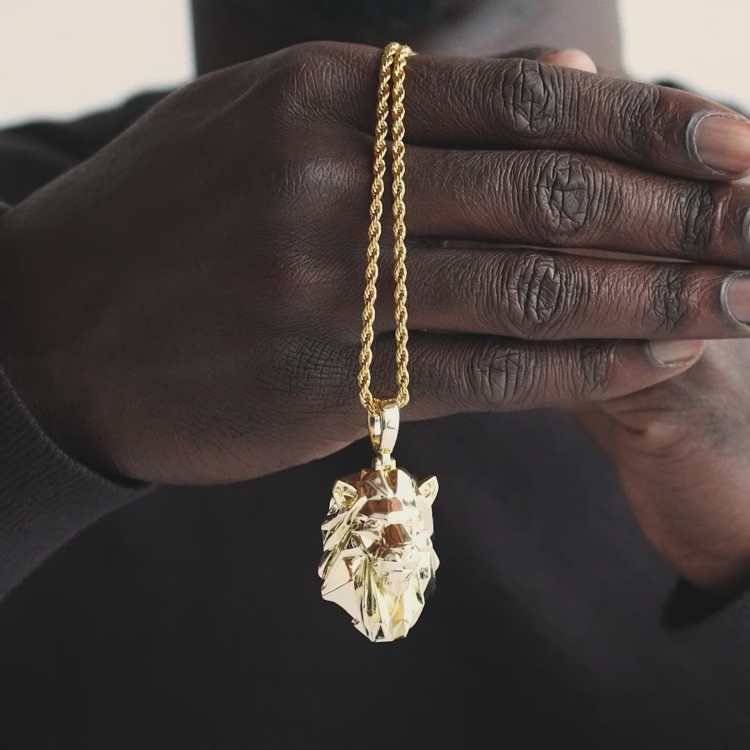 Lion Head Necklace Pendant and Rope Chain