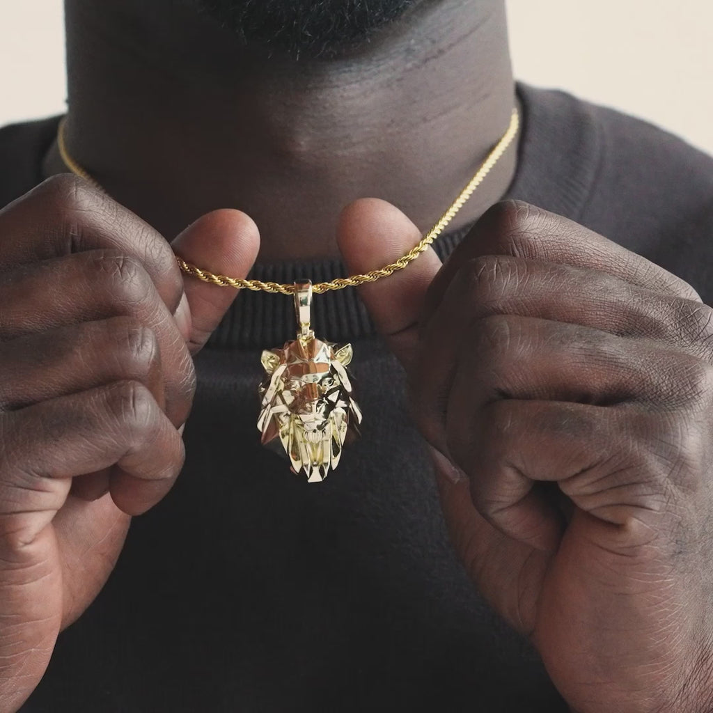 Lion Head Necklace Pendant and Rope Chain