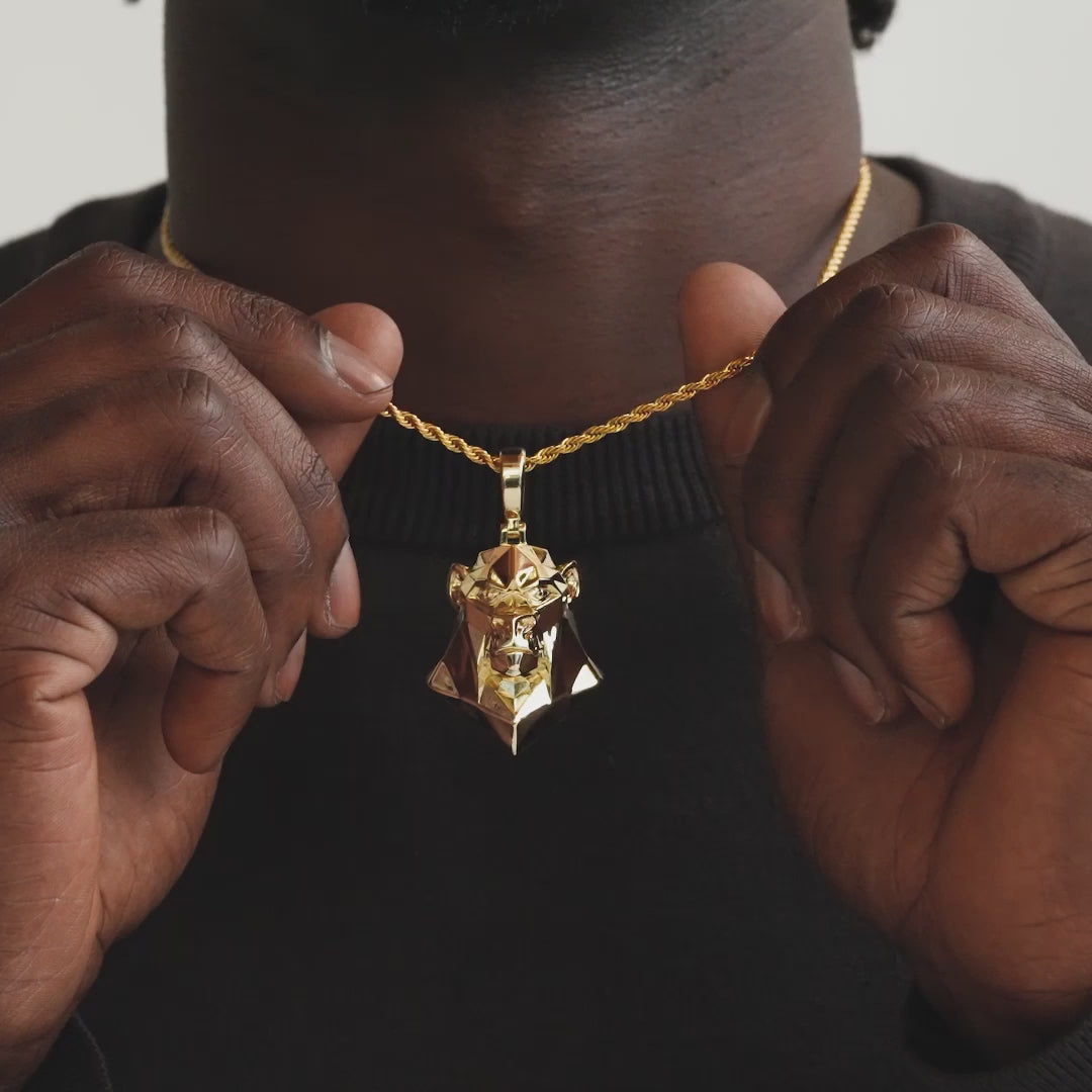 Ape Head Necklace Pendant and Rope Chain